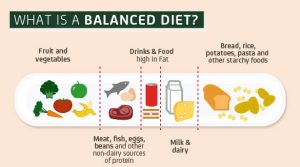 what is balanced diet