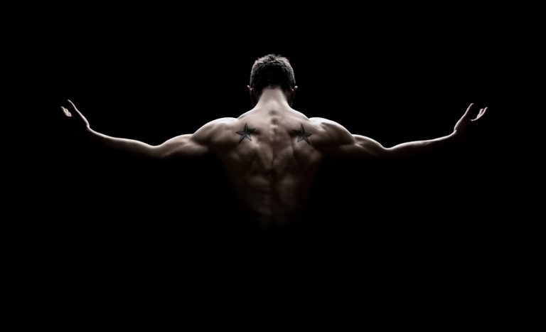 5 Components of Fitness 5 components of fitness